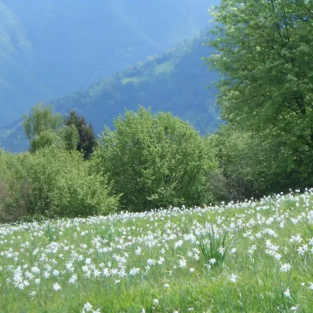 Farm stay La Casa Nei Boschi *