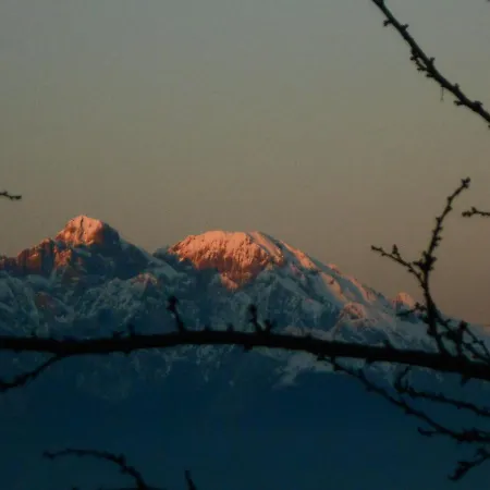 Alojamento de Turismo Rural La Casa Nei Boschi