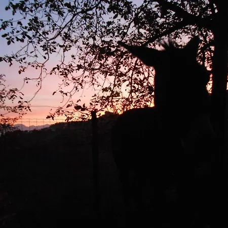 Alojamento de Turismo Rural La Casa Nei Boschi Colderu