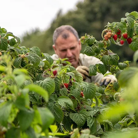 Gospodarstwo agroturystyczne La Casa Nei Boschi Colderu
