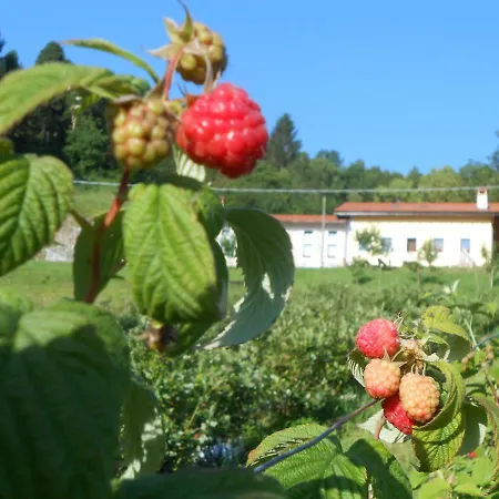 La Casa Nei Boschi Vakantieboerderij